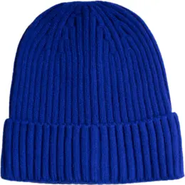 FWRD Glacier Ribbed Beanie Royal